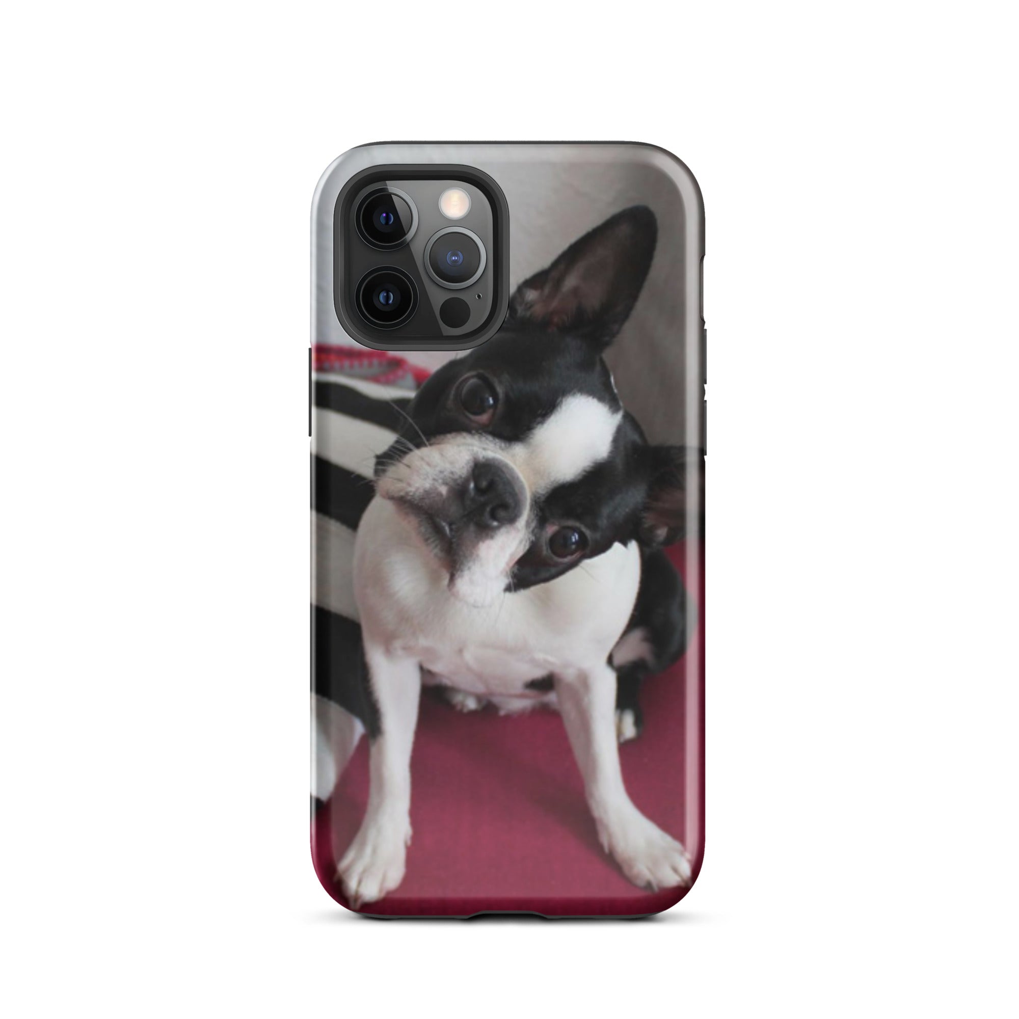 Custom Boston Terrier Tough Phone Case for iPhone