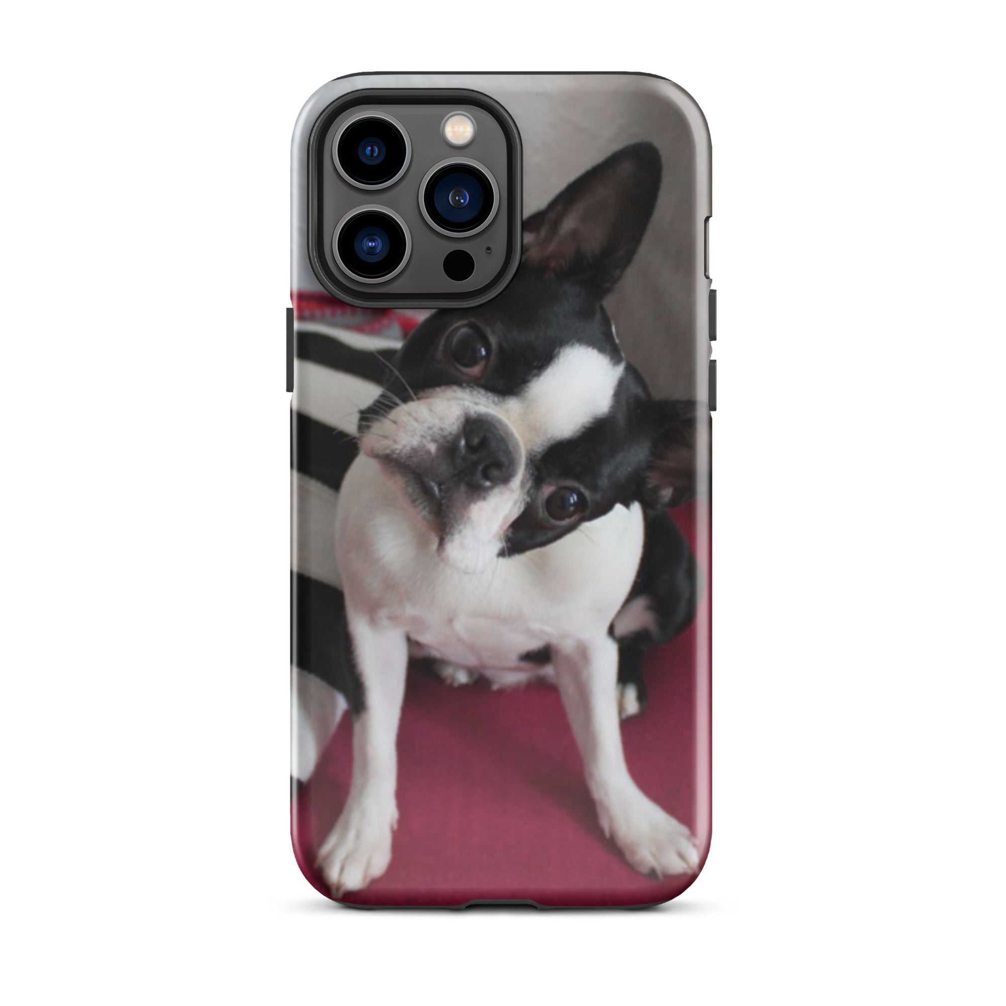 Custom Boston Terrier Tough Phone Case for iPhone