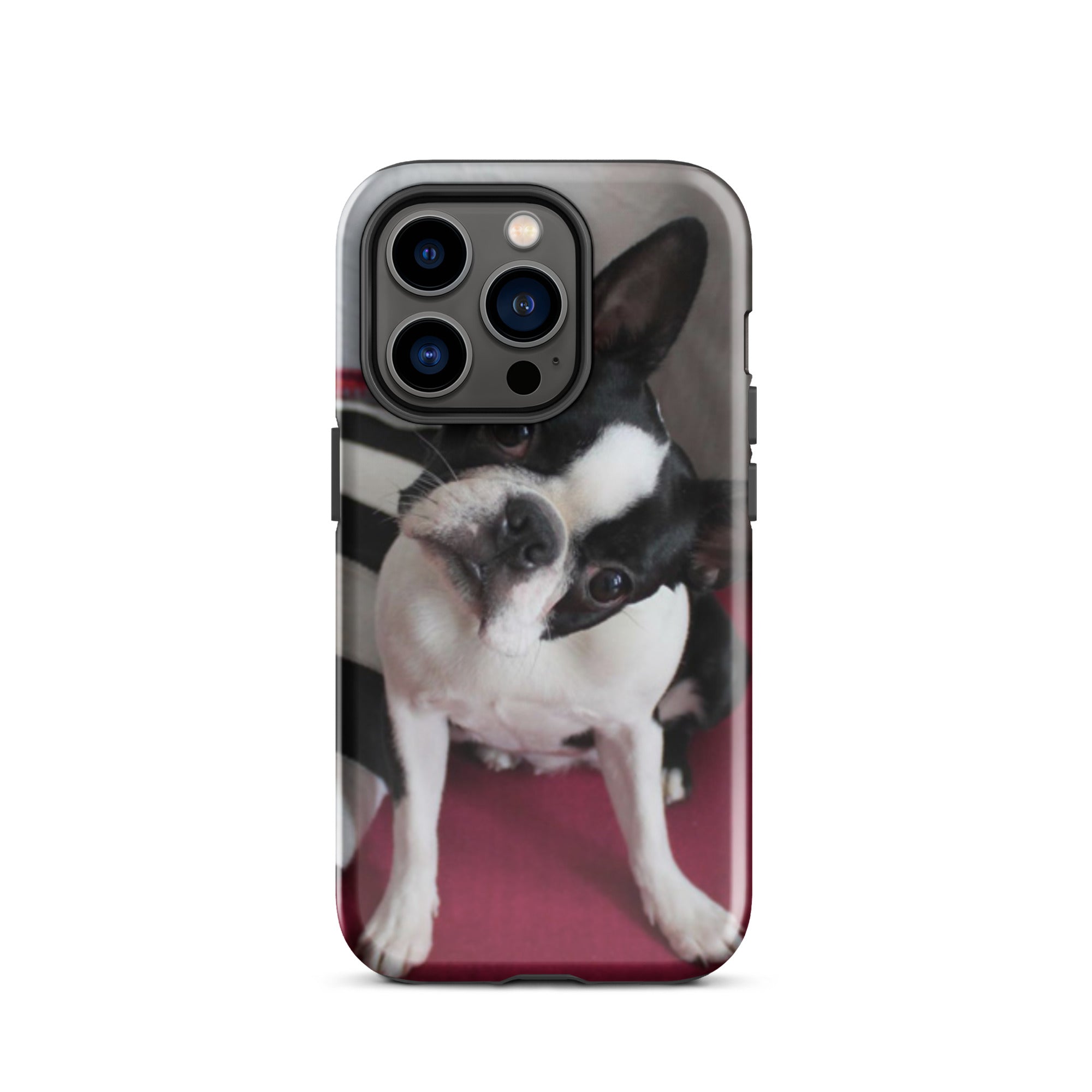 Custom Boston Terrier Tough Phone Case for iPhone