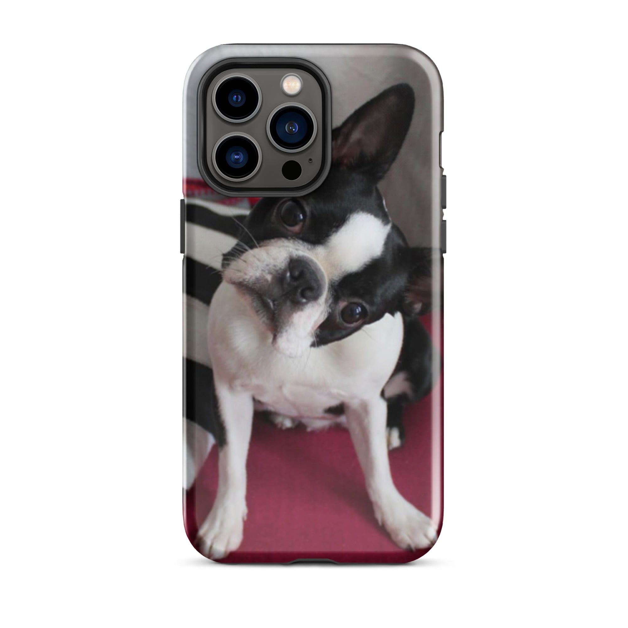 Custom Boston Terrier Tough Phone Case for iPhone