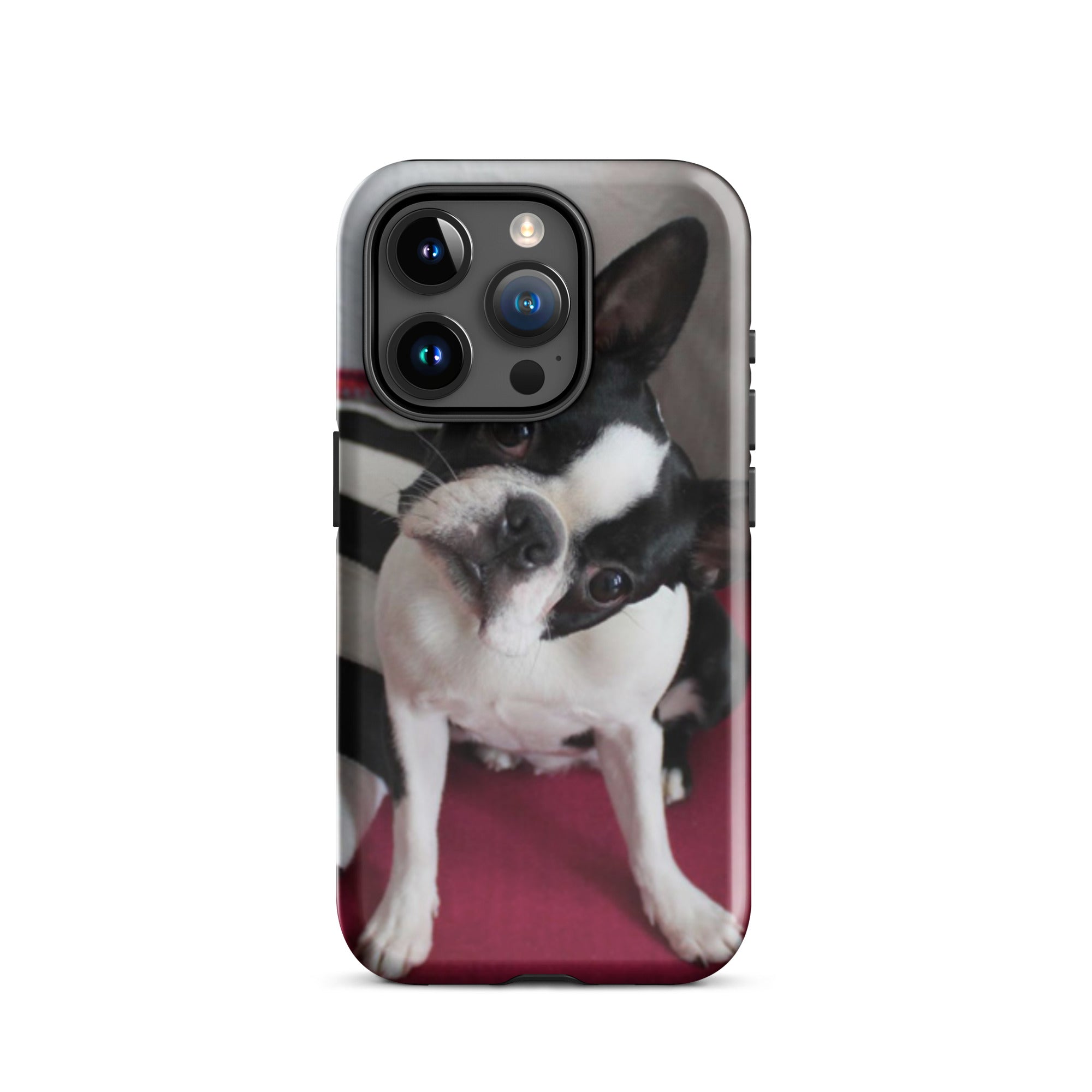 Custom Boston Terrier Tough Phone Case for iPhone