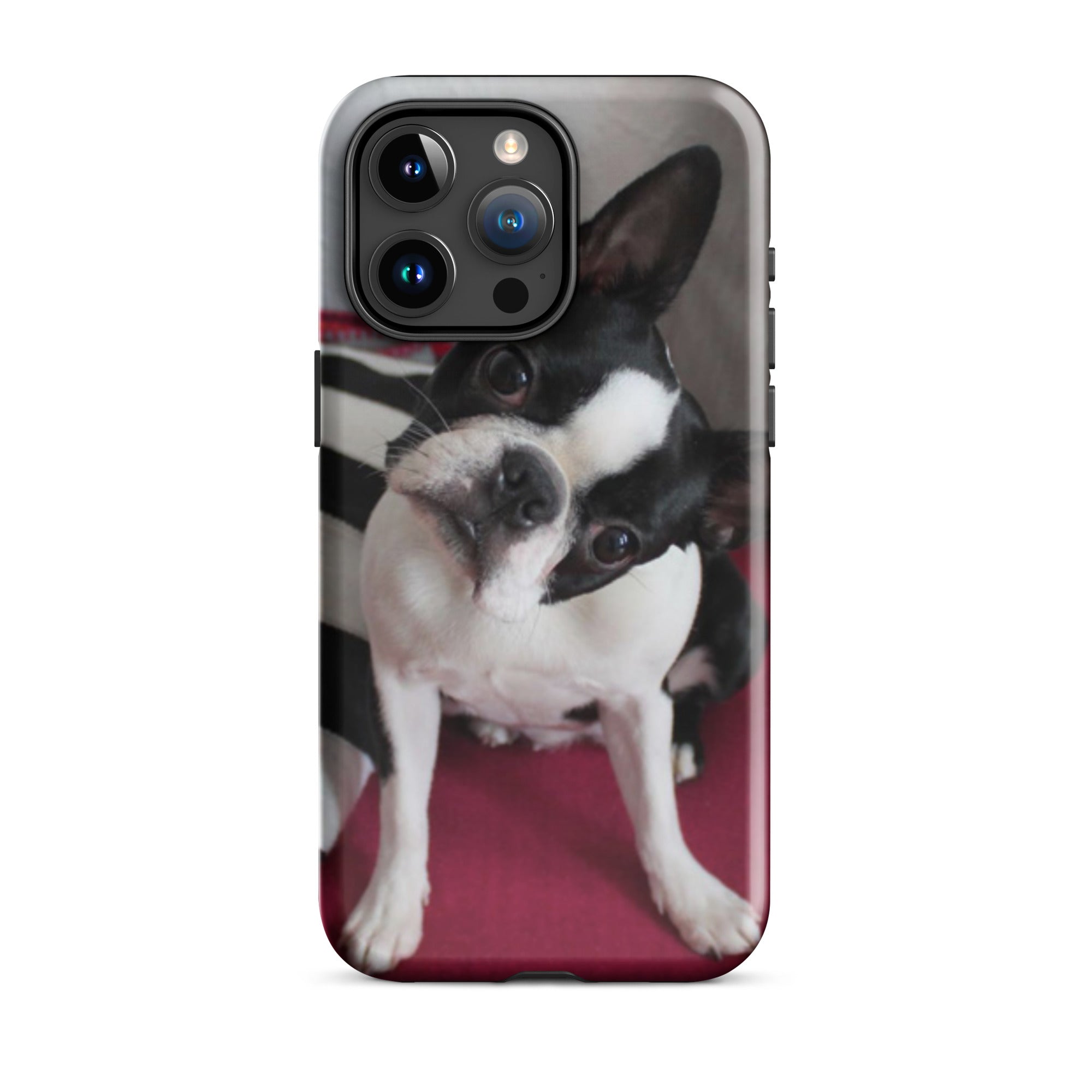 Custom Boston Terrier Tough Phone Case for iPhone