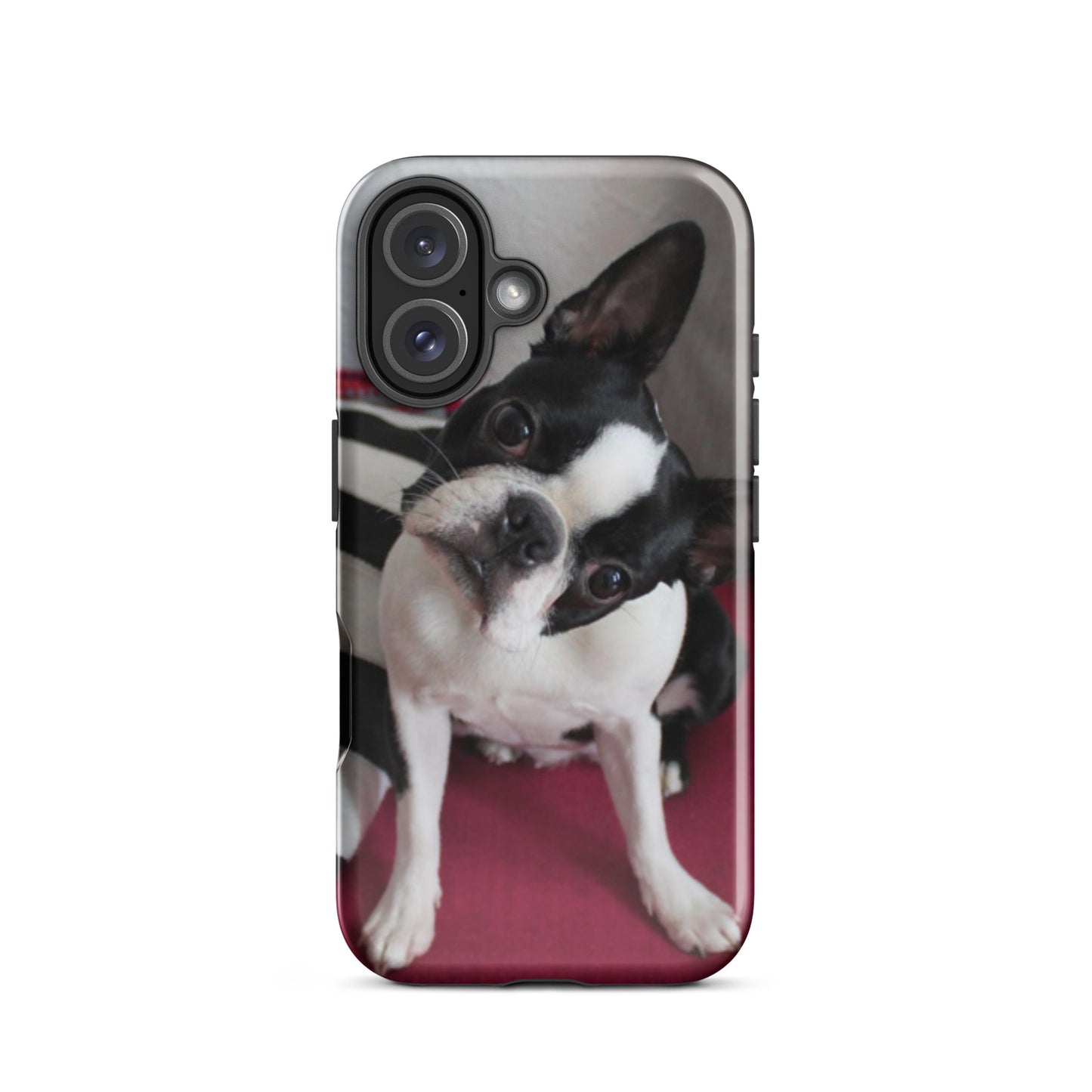 Custom Boston Terrier Tough Phone Case for iPhone