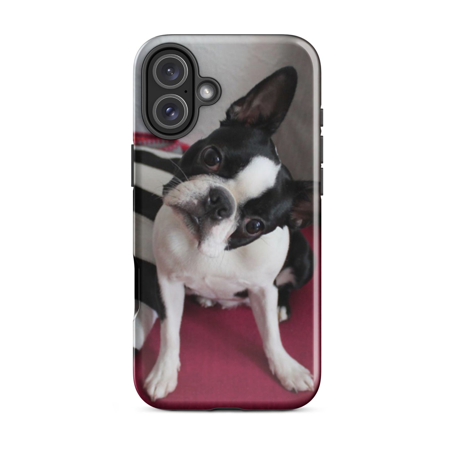 Custom Boston Terrier Tough Phone Case for iPhone