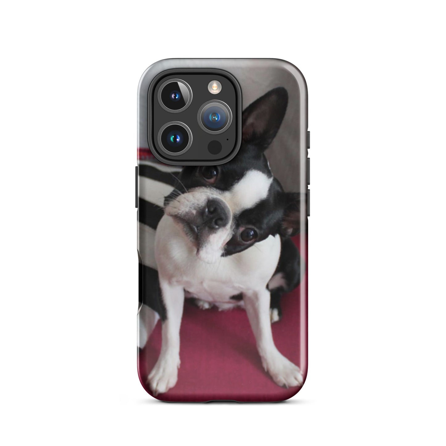 Custom Boston Terrier Tough Phone Case for iPhone