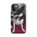 Custom Boston Terrier Tough Phone Case for iPhone