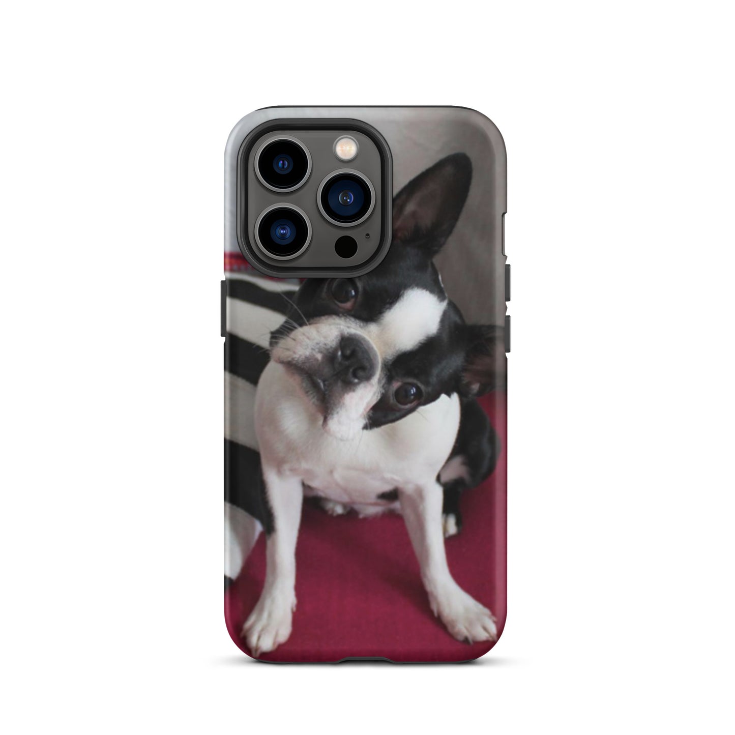 Custom Boston Terrier Tough Phone Case for iPhone