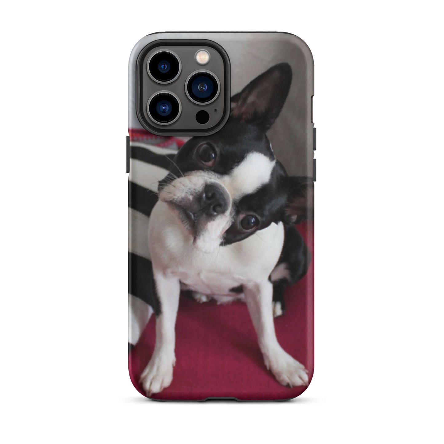Custom Boston Terrier Tough Phone Case for iPhone