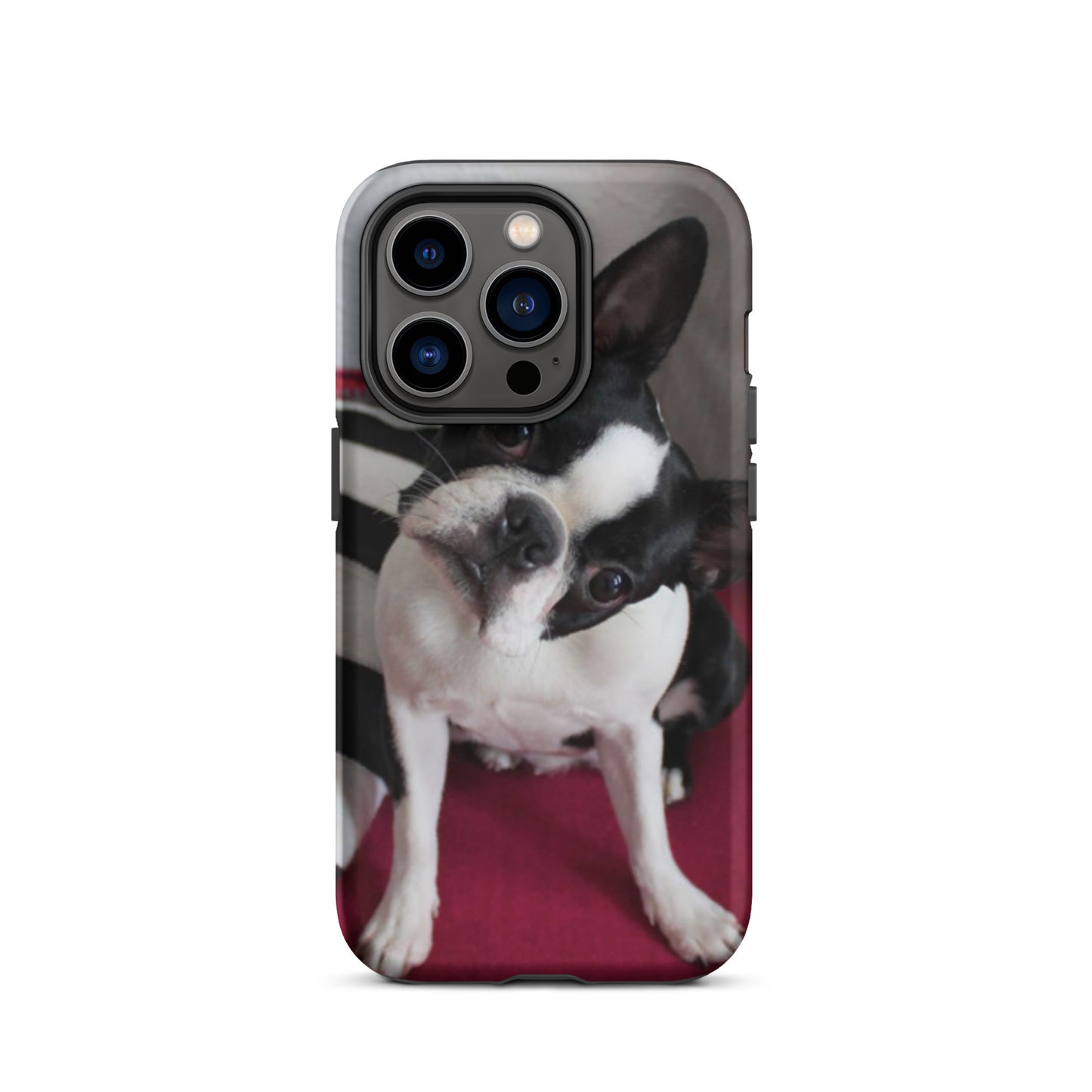 Custom Boston Terrier Tough Phone Case for iPhone
