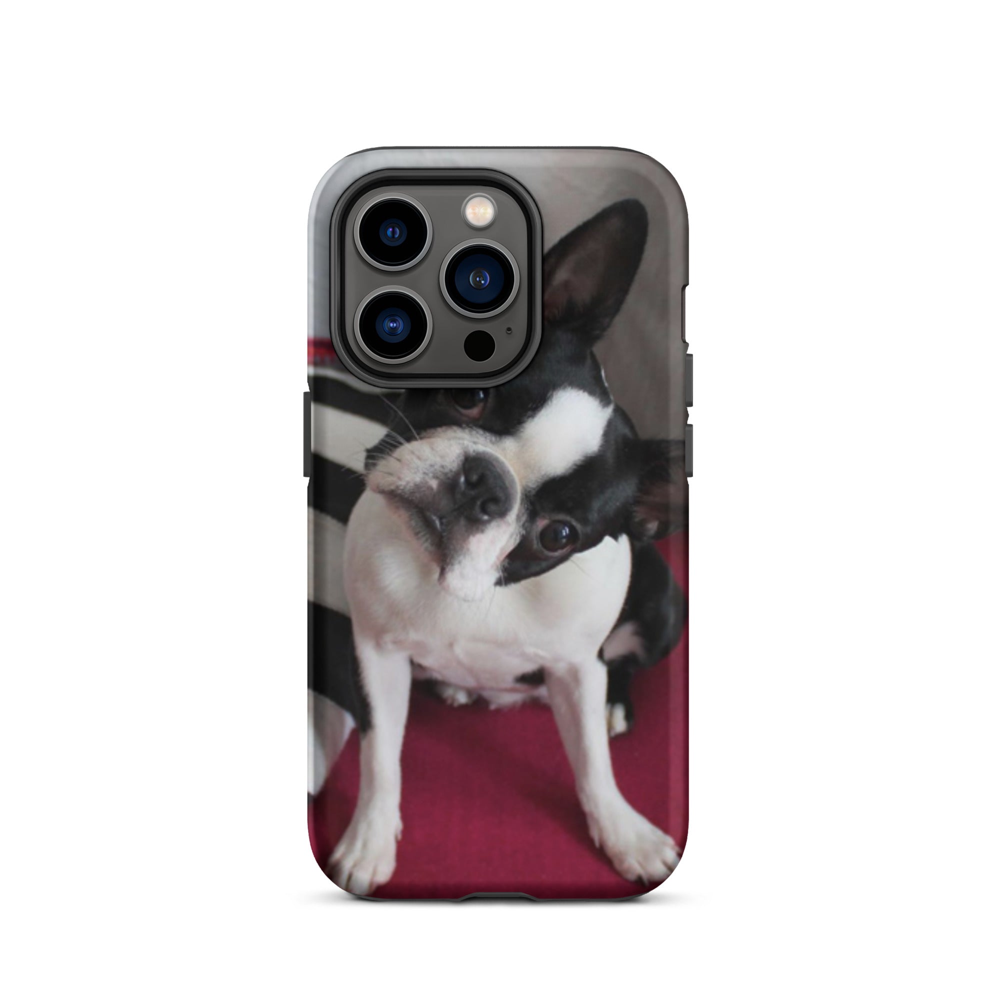 Custom Boston Terrier Tough Phone Case for iPhone