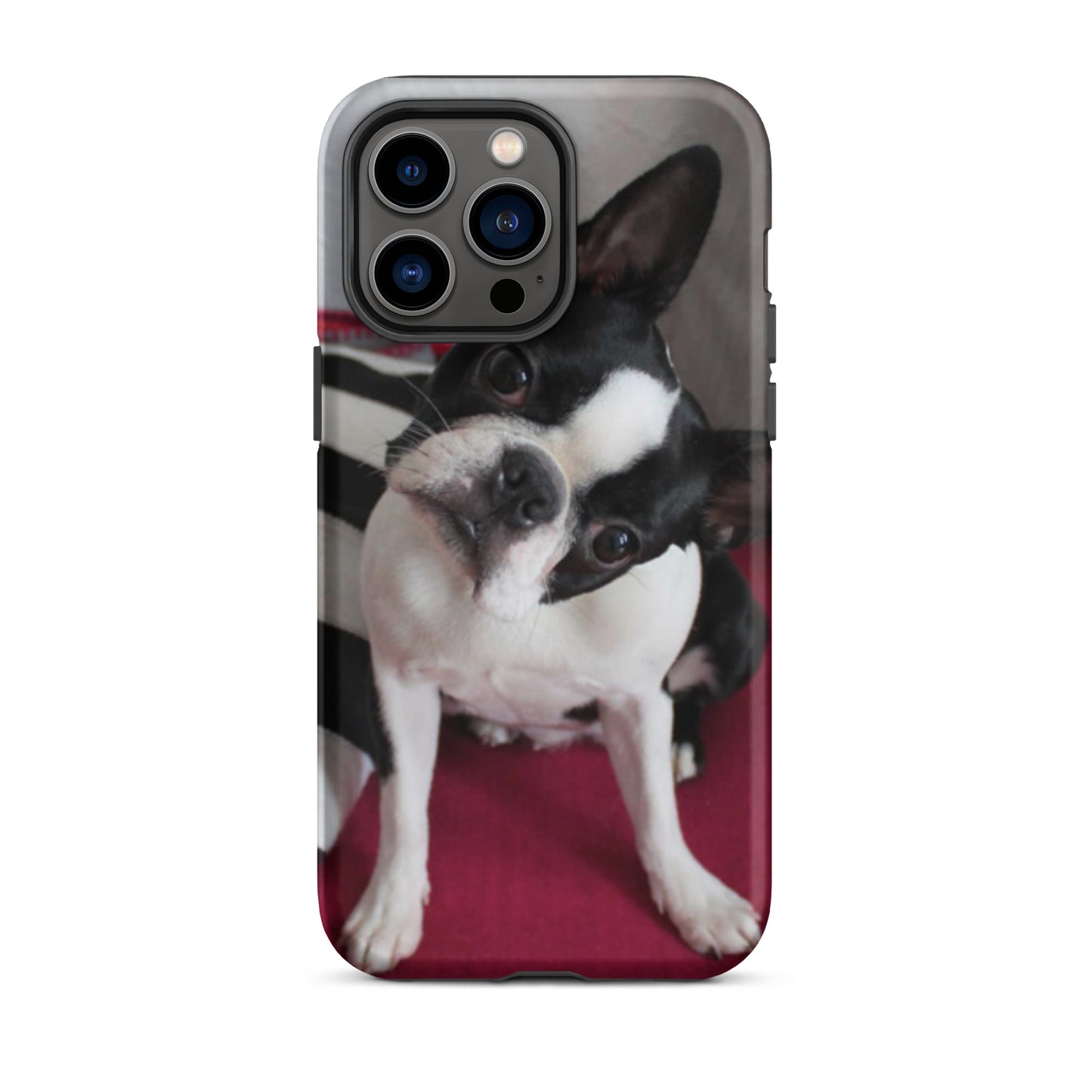 Custom Boston Terrier Tough Phone Case for iPhone