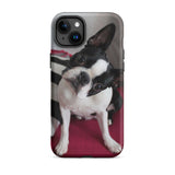 Custom Boston Terrier Tough Phone Case for iPhone