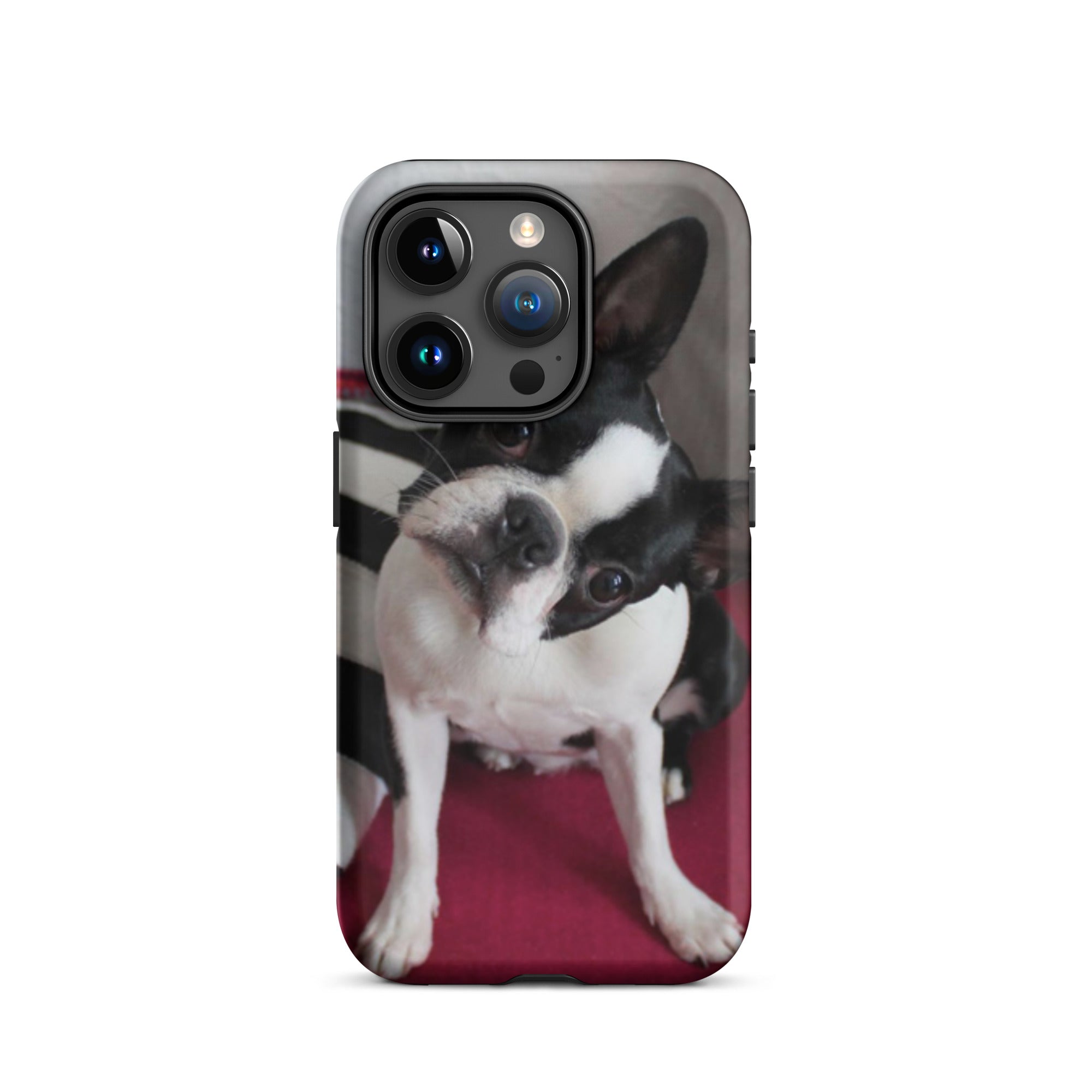 Custom Boston Terrier Tough Phone Case for iPhone