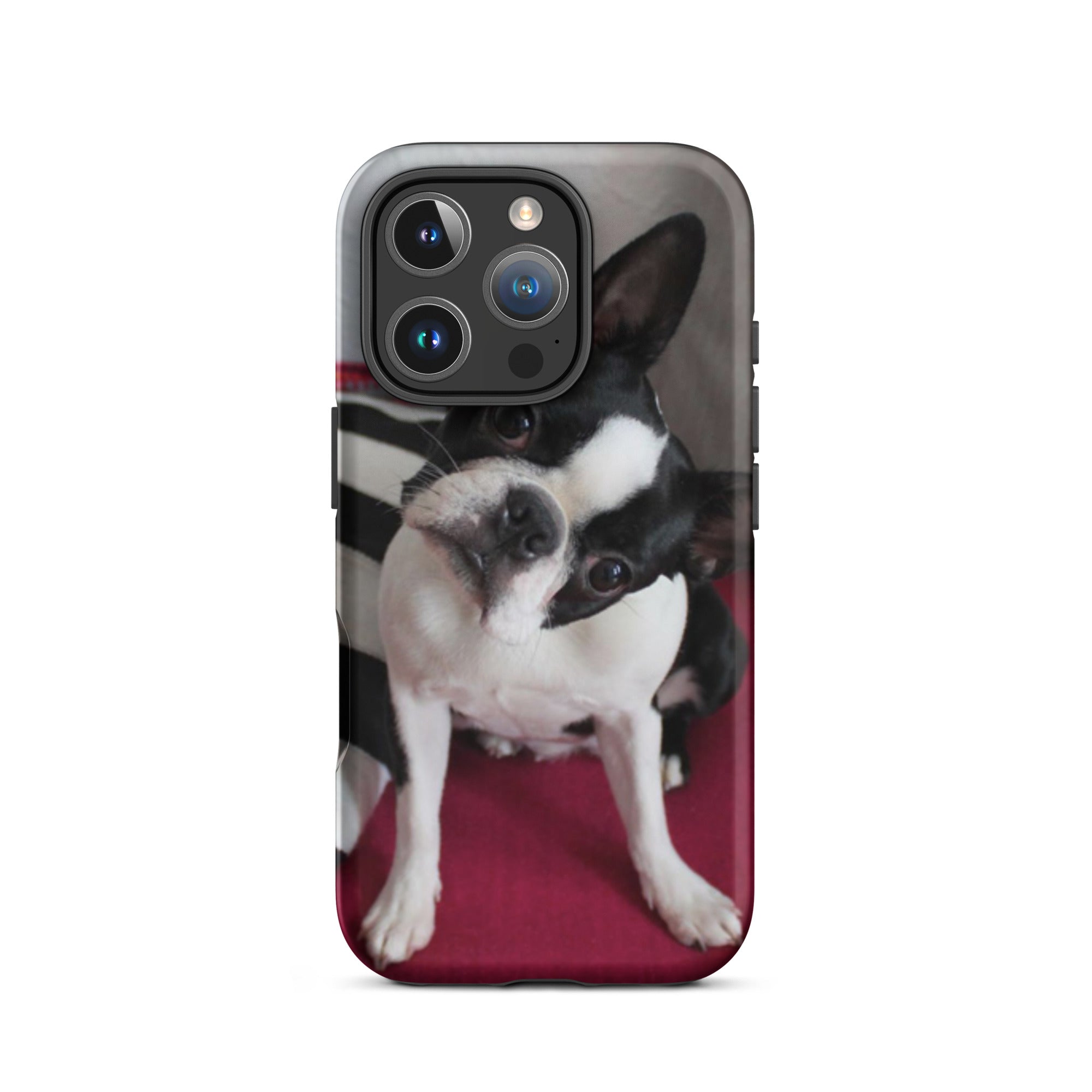 Custom Boston Terrier Tough Phone Case for iPhone