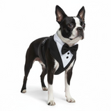 Tuxedo Dog Harness