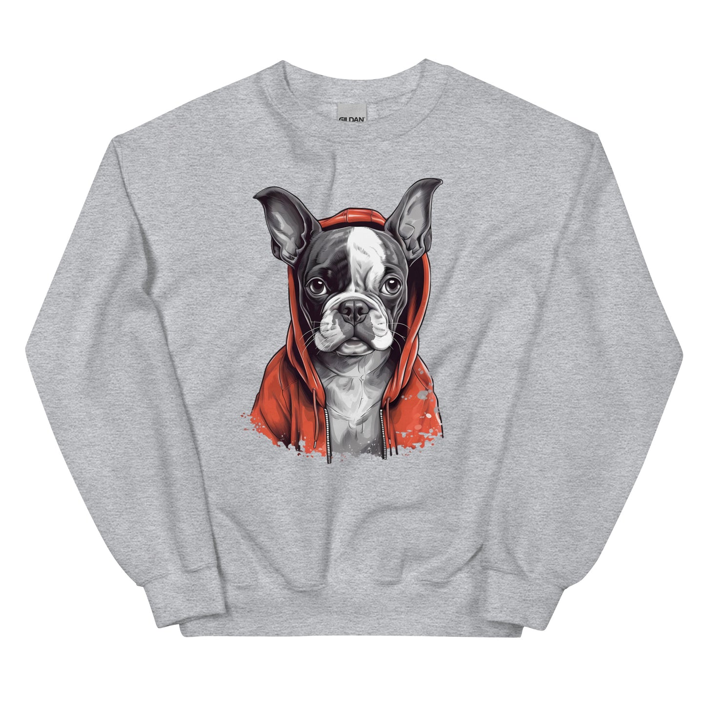 Boston Terrier in a Red Hoodie Sweatshirt