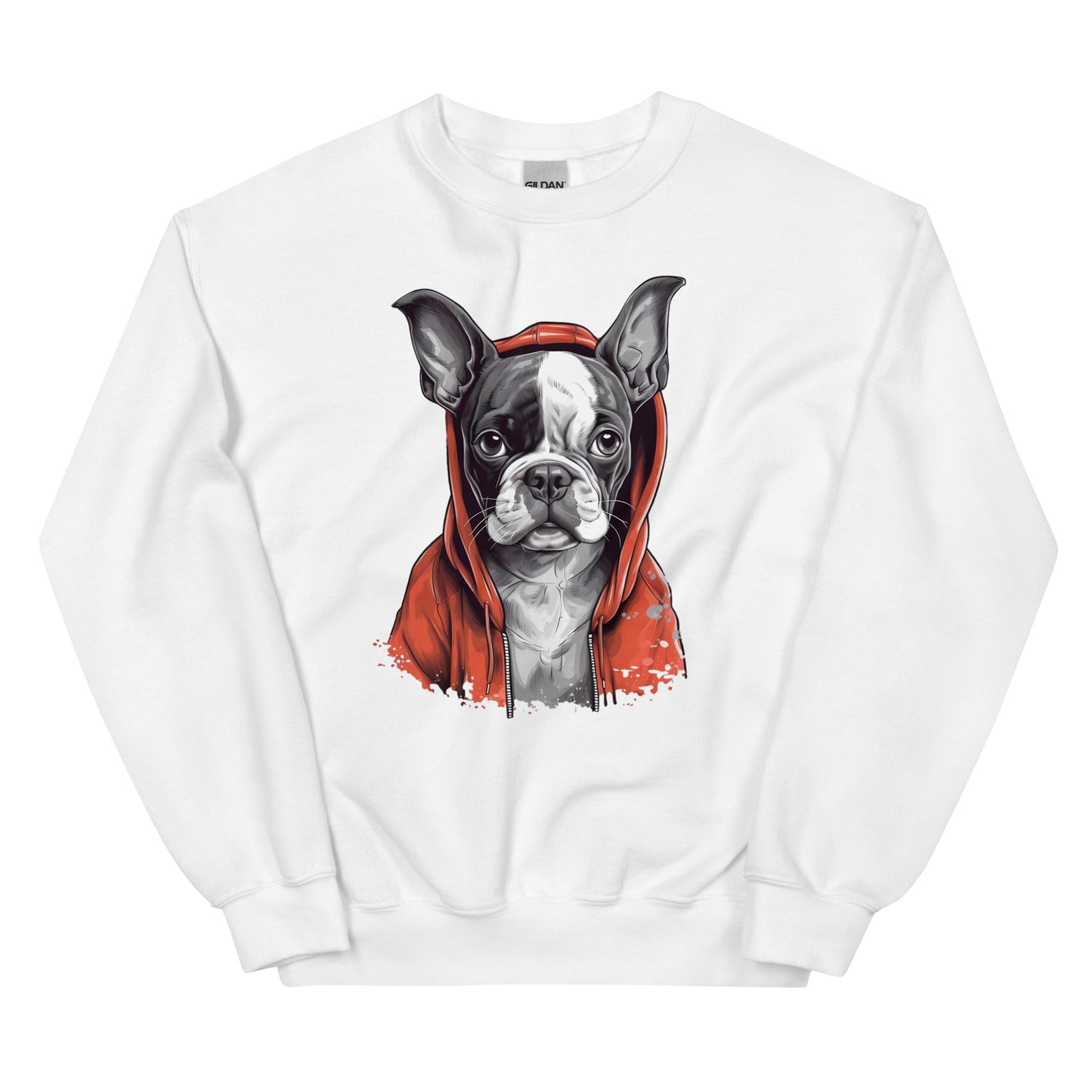 Boston Terrier in a Red Hoodie Sweatshirt