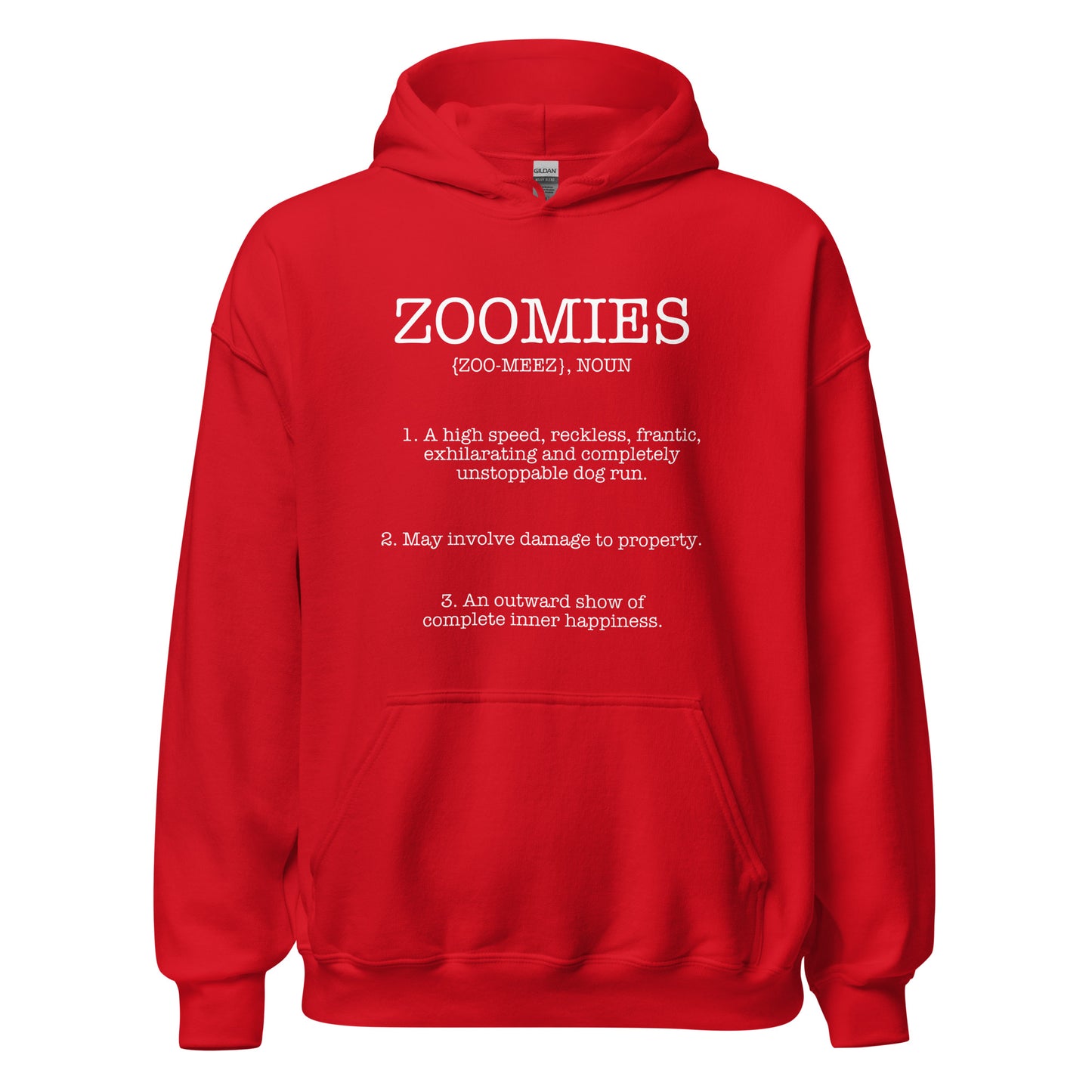Zoomies Definition Unisex Hoodie