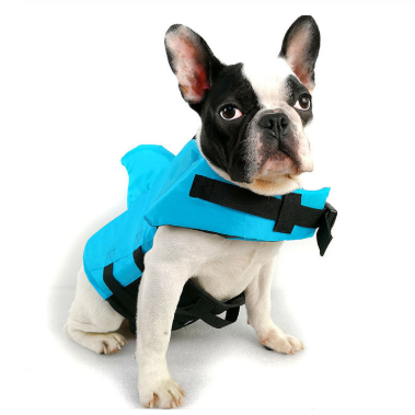 Shark Life Vest for Dogs
