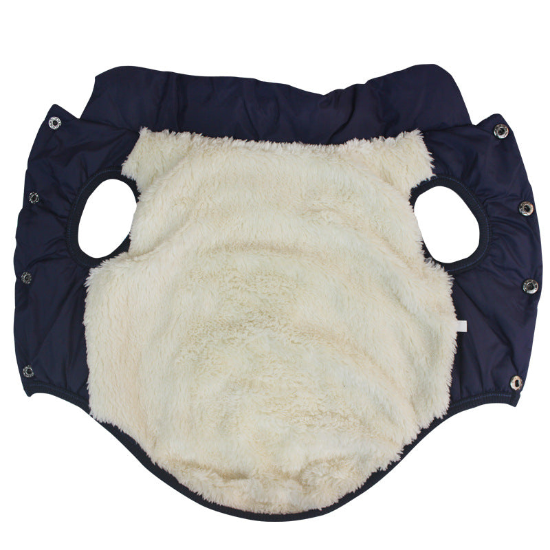 Padded Dog Vest