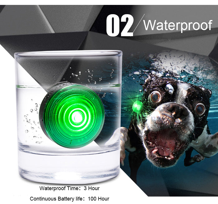 Dog Anti Lost LED Light for Night Time