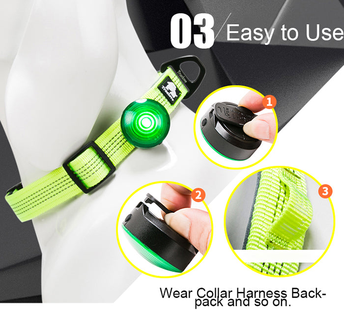 Dog Anti Lost LED Light for Night Time