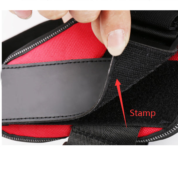 Personalized Custom Dog Harness