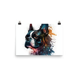 Boston Terrier Art on Poster