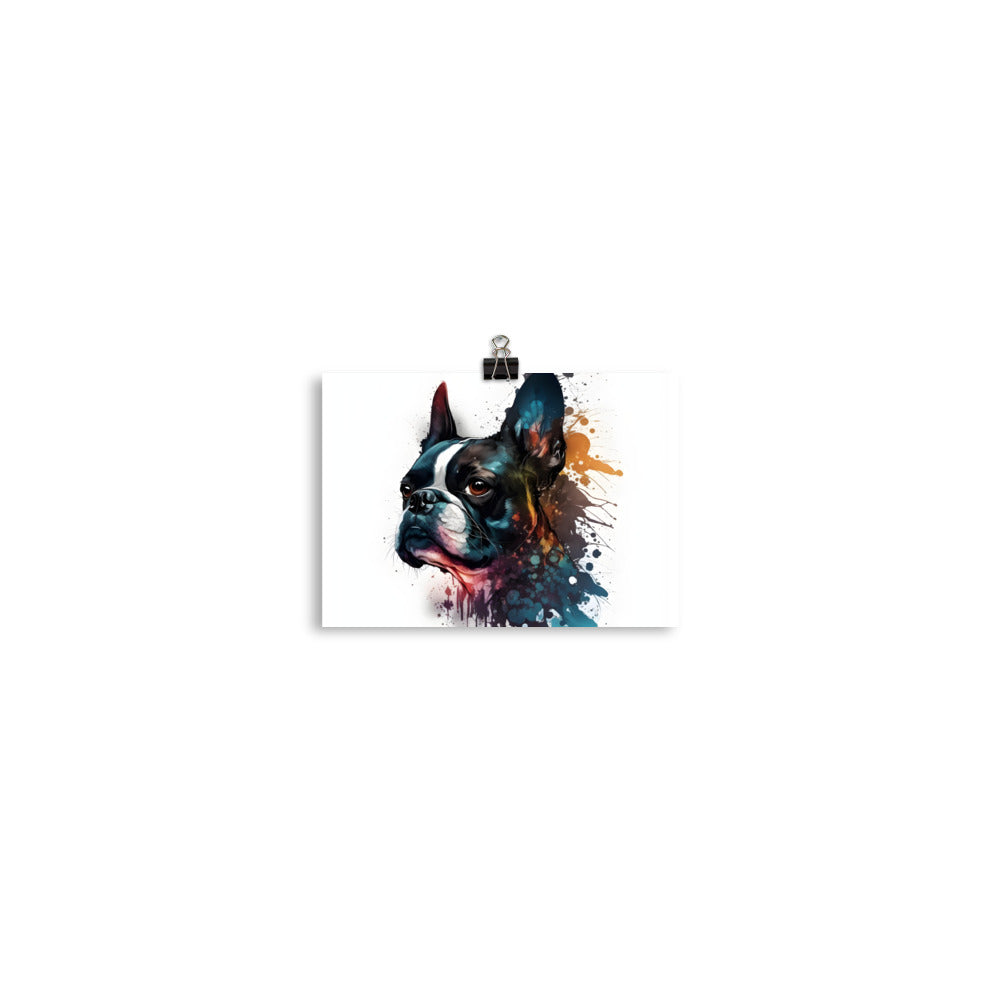 Boston Terrier Art on Poster