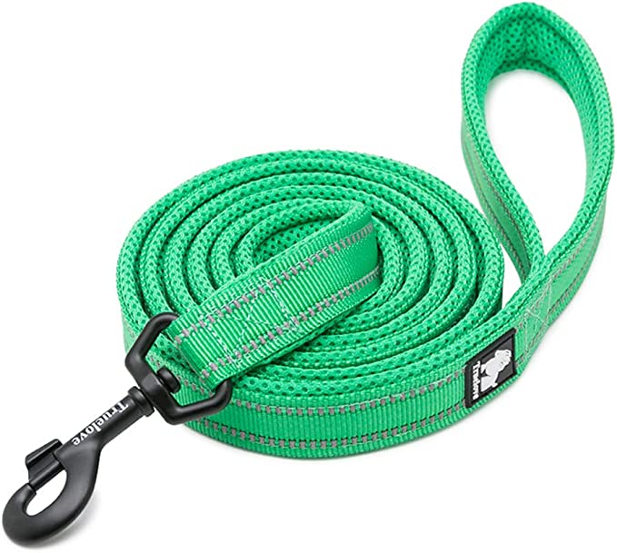 TrueLove Dog Leash 43 inches long