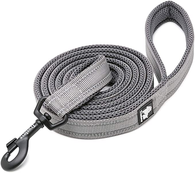 TrueLove Dog Leash 43 inches long