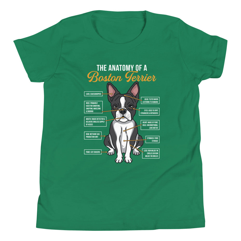 The Anatomy Of A Boston Terrier Youth T-Shirt