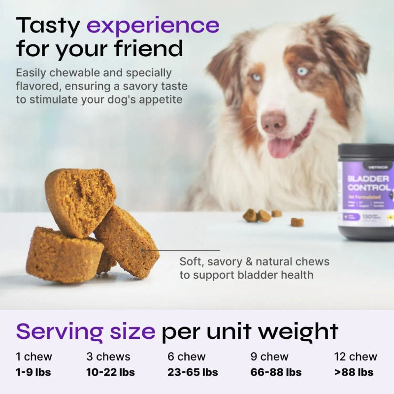 Dog UTI Treatment Duck Flavor Bladder Control Cranberry Chews Supplement For Urinary Tract Bladder & Kidney Health