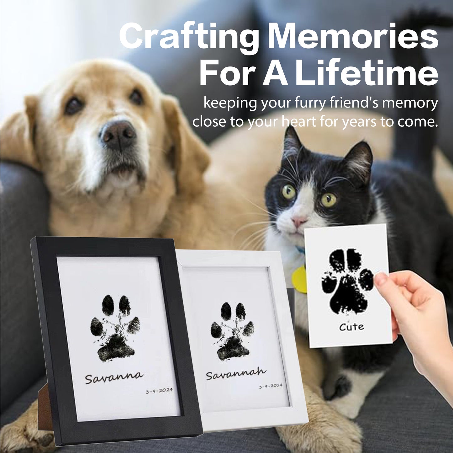 DIY Pet Paw Print Frame Kit Personalized Memorial With Ink