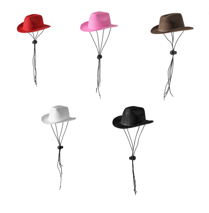 Western Cowboy Style Dog Hat