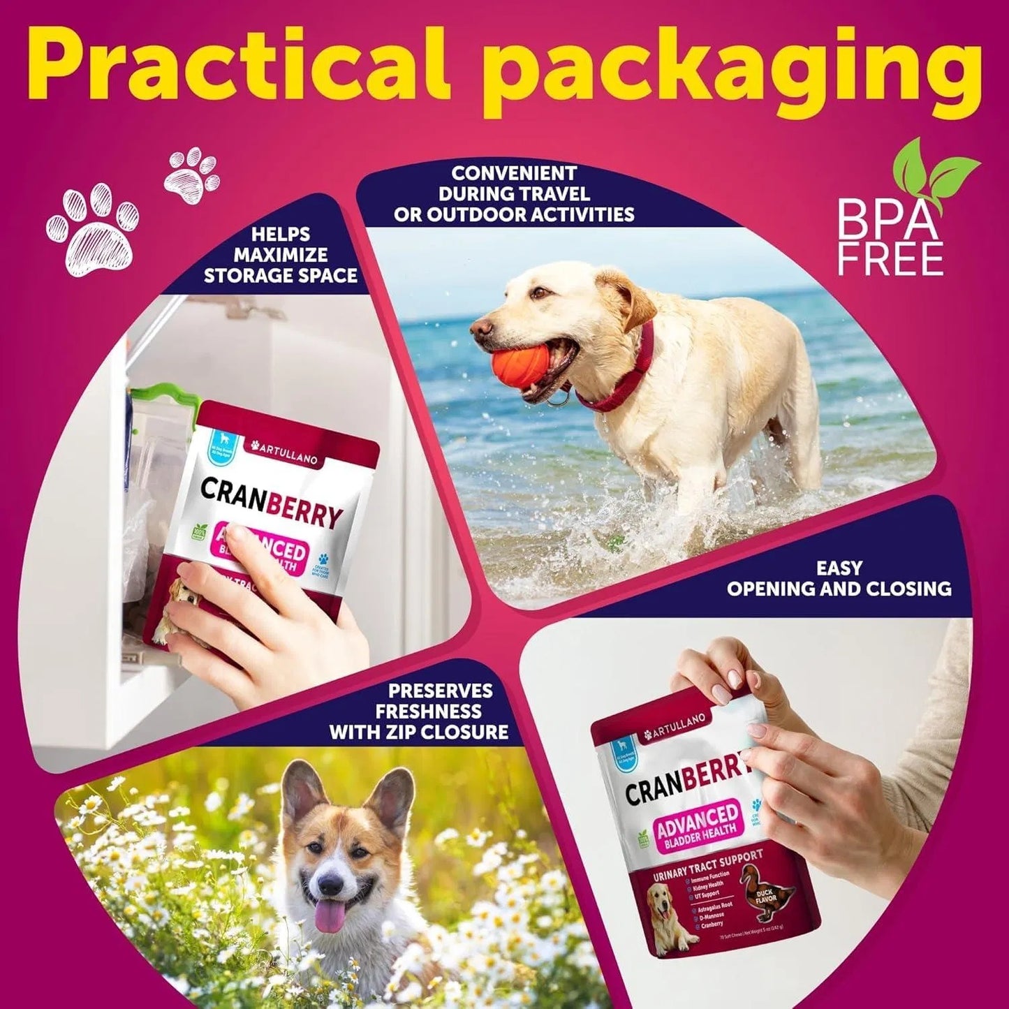 Dog UTI Treatment Cranberry Supplement Bladder Control Urinary Tract Infection Incontinence Pill Bladder Stones UTI Medicine Treats 70 Soft Chews For Kidney Support With Fish Oil