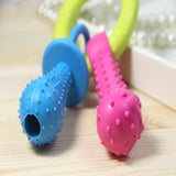Puppy Teething Pacifier Chew Toy
