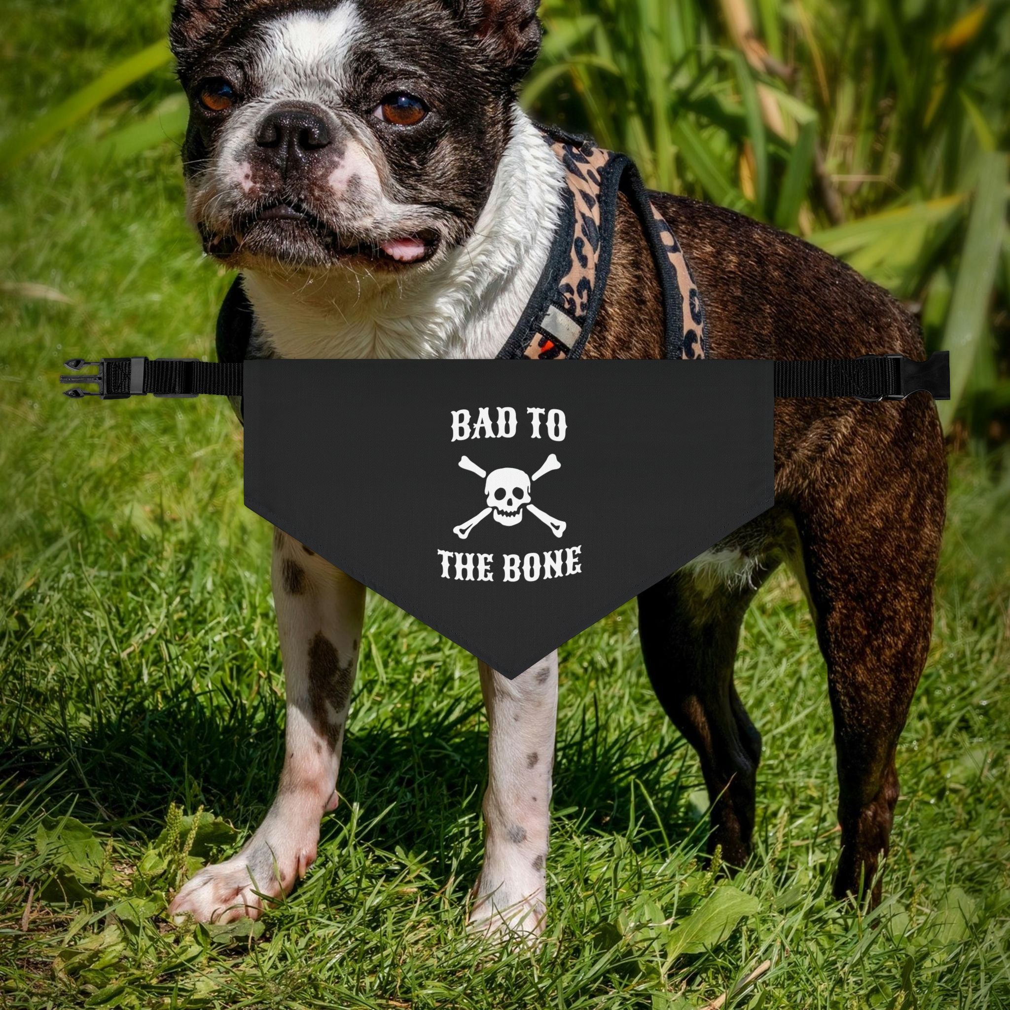Bad to the Bone Pet Bandana Collar, Dog Outfit, Stylish Pet Accessory, Pet Costume, Halloween Dog Bandana, Cute Dog Gear