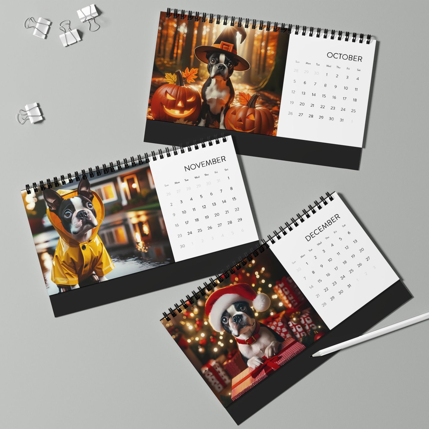 Boston Terrier World Desktop Calendar (2025 grid)