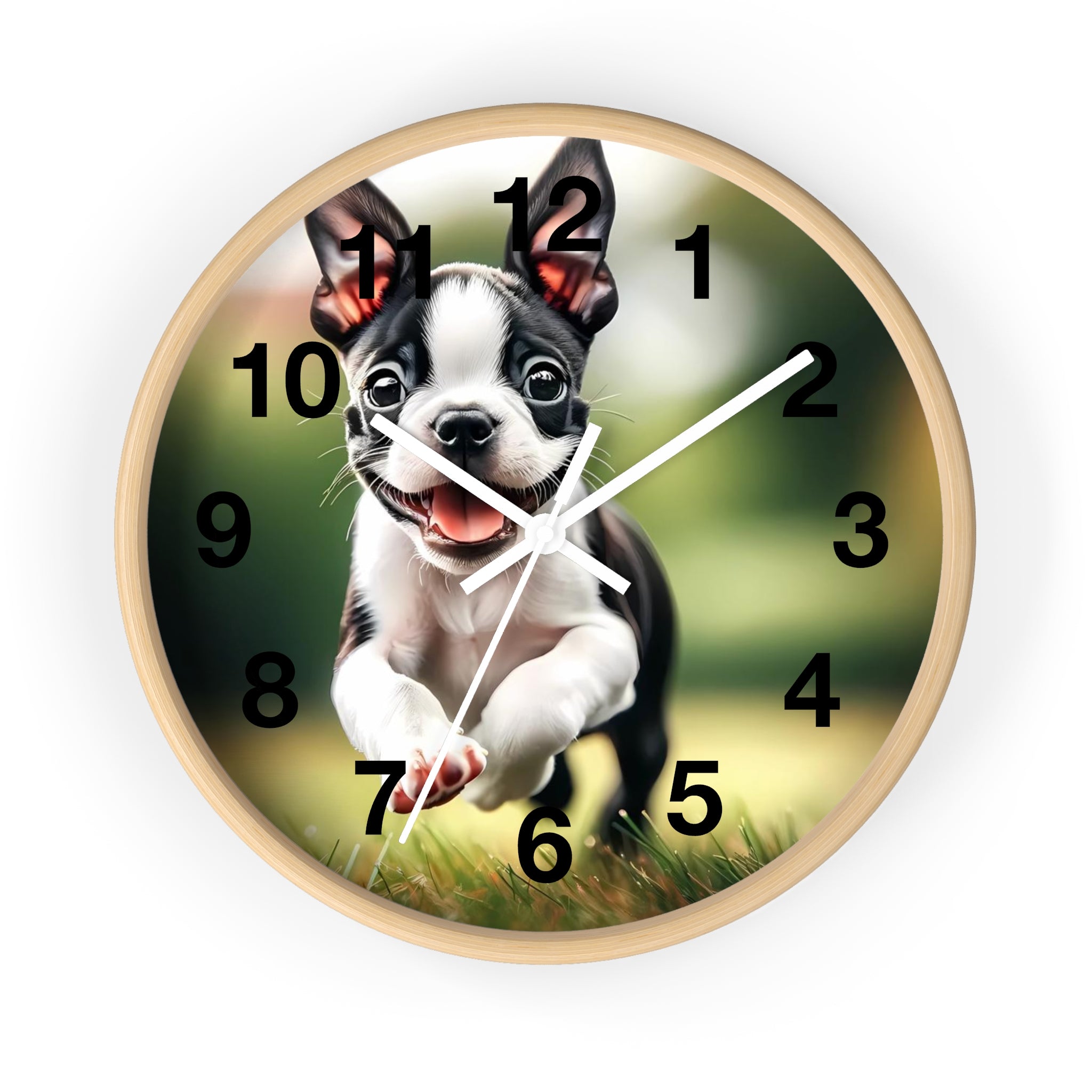 Playful Boston Terrier Puppy Wall Clock
