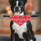 Red Blue Flowers Dog Bandana Collar