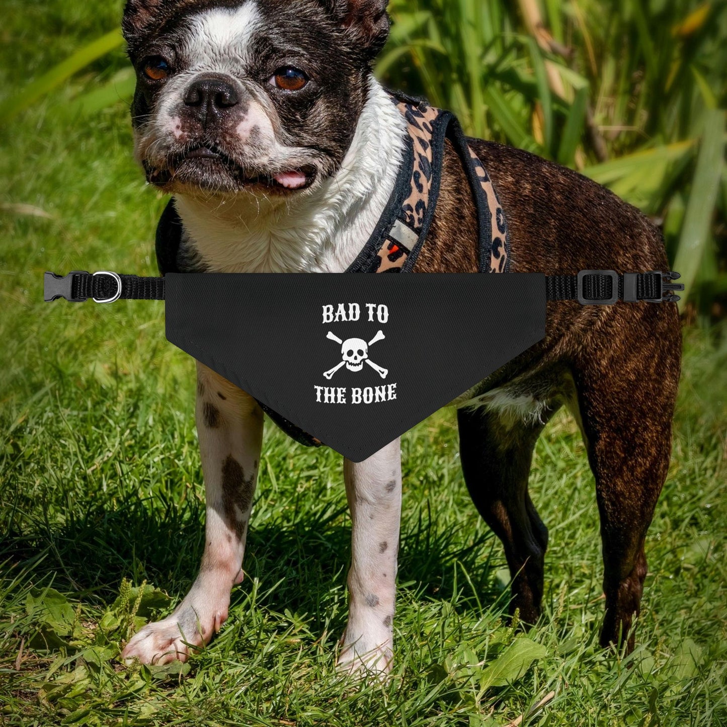 Bad to the Bone Pet Bandana Collar, Dog Outfit, Stylish Pet Accessory, Pet Costume, Halloween Dog Bandana, Cute Dog Gear