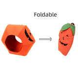 Halloween Pumpkin Dog Costume