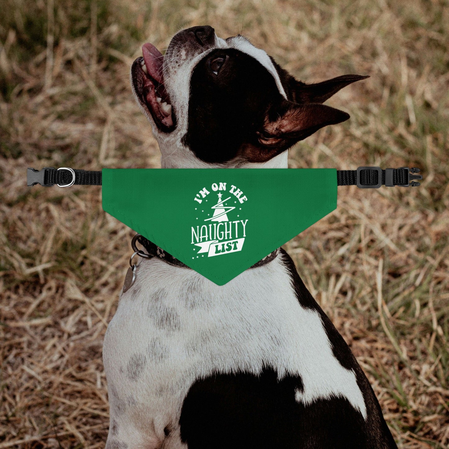 I'm On The Naughty List Christmas Dog Bandana Collar - Green
