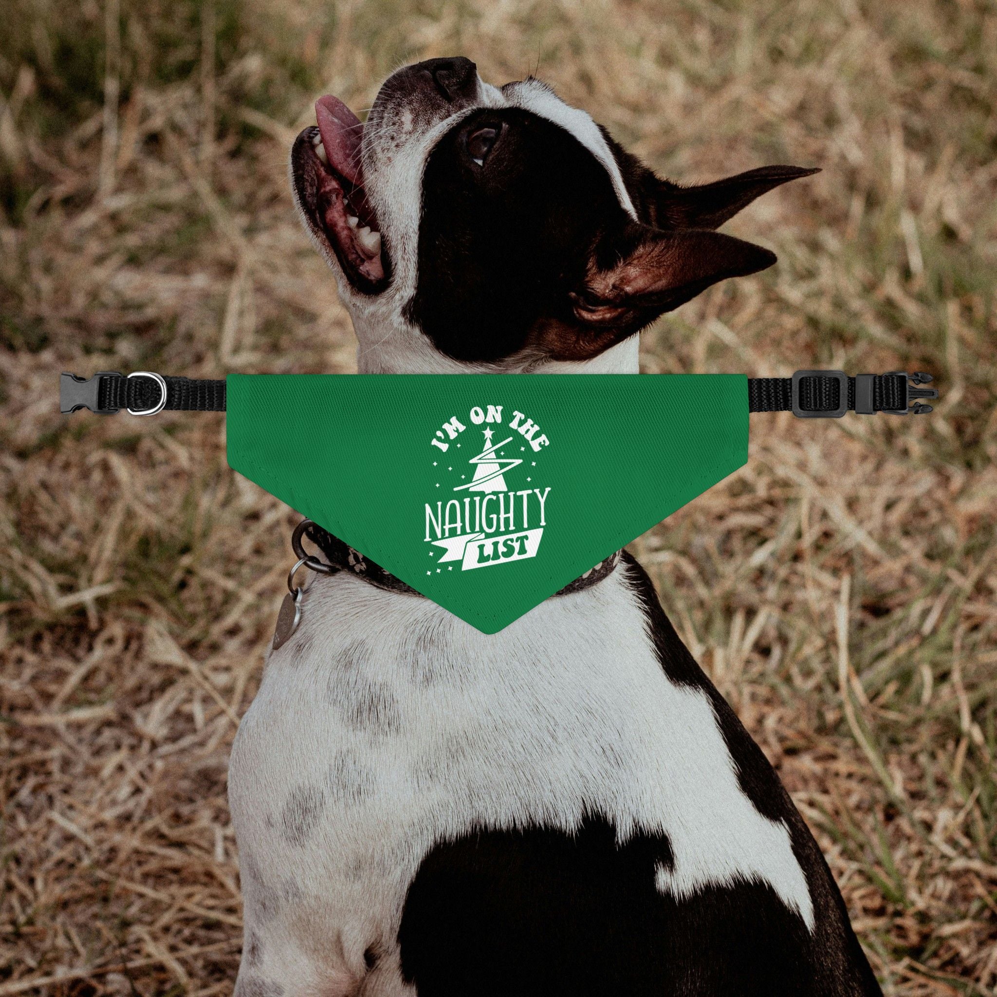 I'm On The Naughty List Christmas Dog Bandana Collar - Green