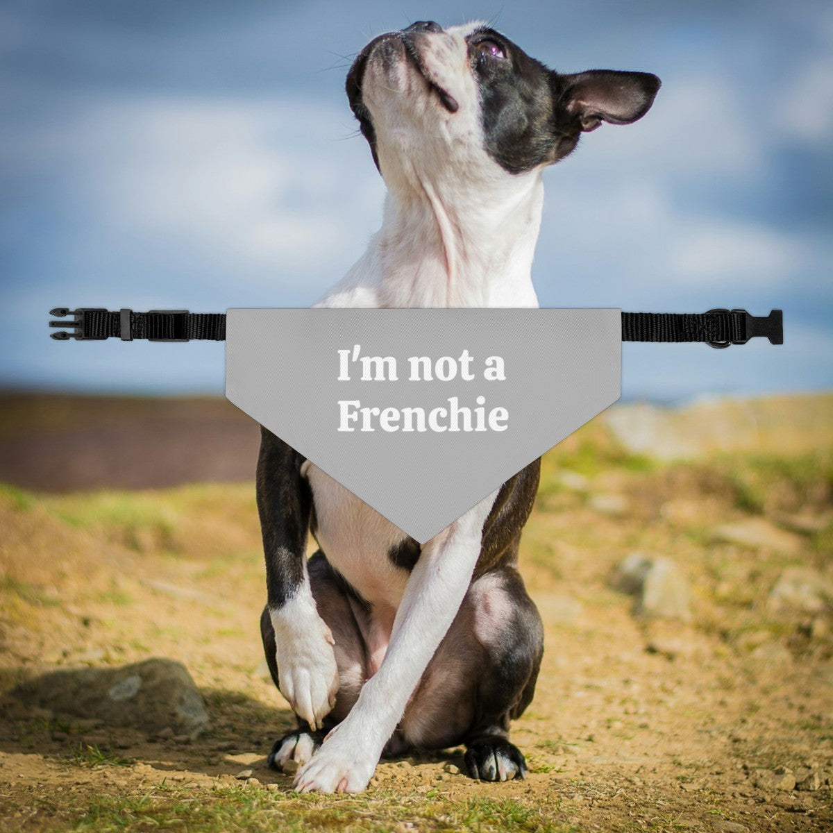 I'm Not A Frenchie - Dog Bandana Collar