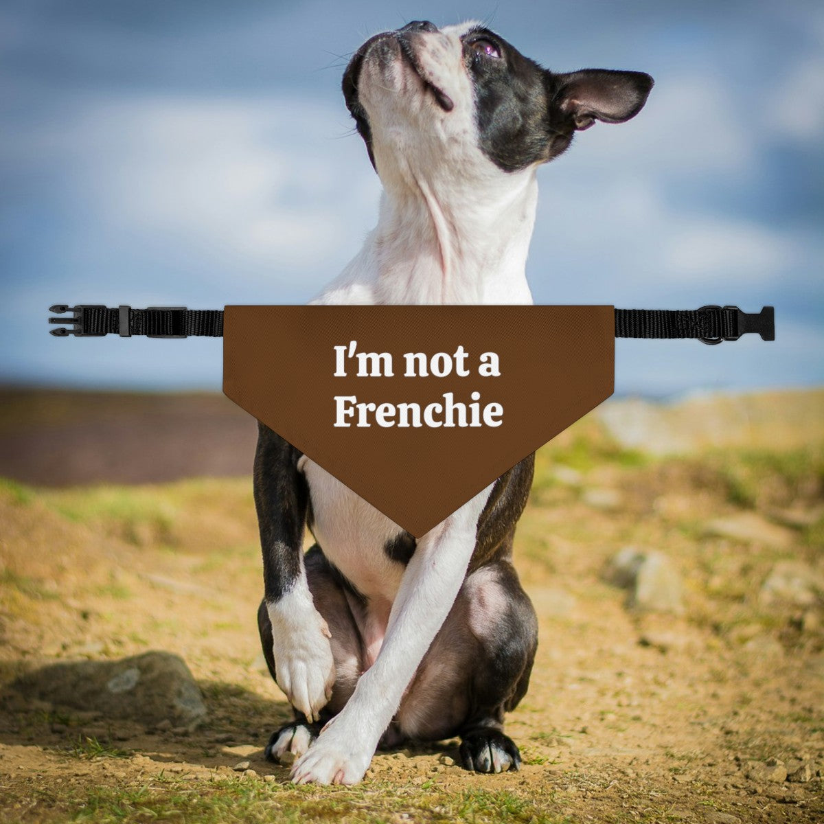 I'm Not A Frenchie - Dog Bandana Collar