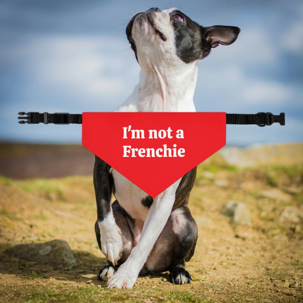 I'm Not A Frenchie - Dog Bandana Collar