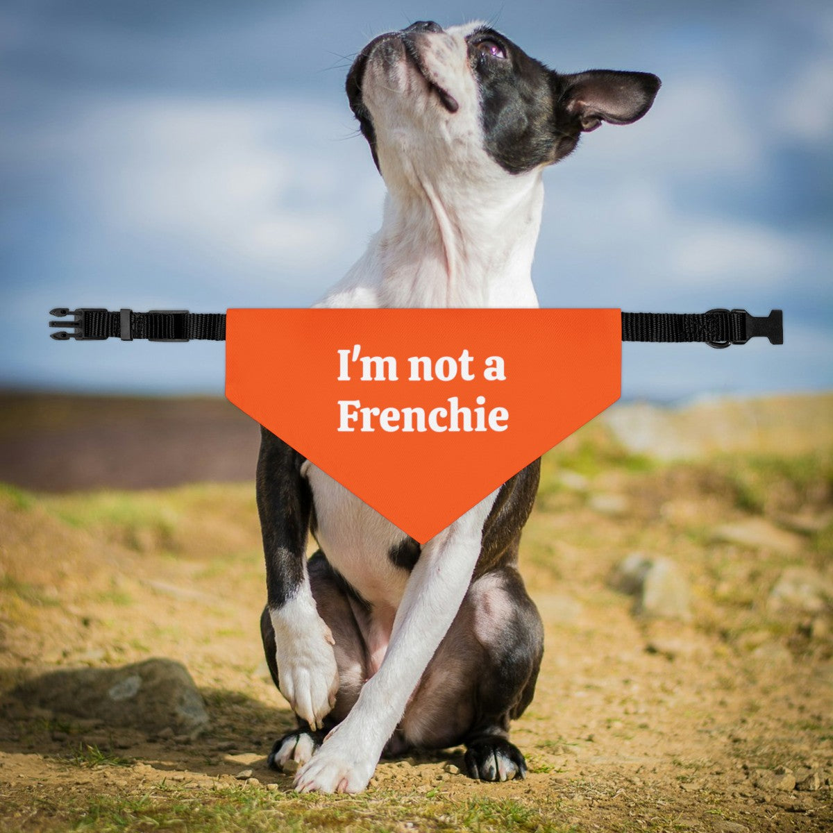 I'm Not A Frenchie - Dog Bandana Collar