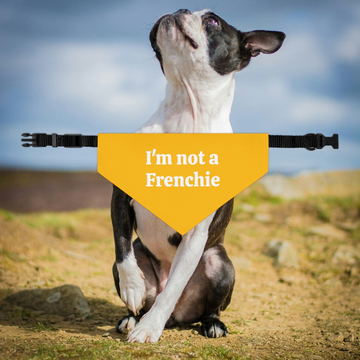 I'm Not A Frenchie - Dog Bandana Collar